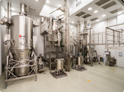 Pharmaceutical Formulation Intermediates (PFIs)