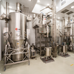 Pharmaceutical Formulation Intermediates (PFIs)