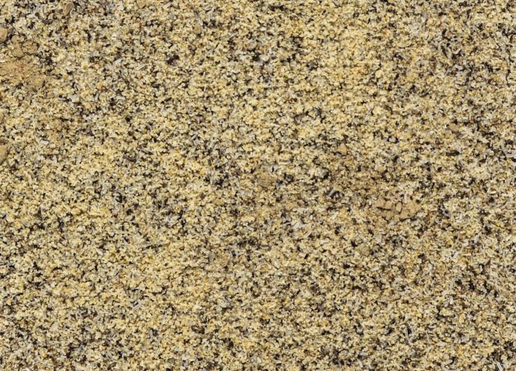 Fajita Seasoning (With Tenderizer)