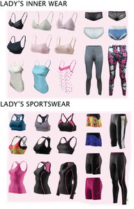 ladies' innerwear, sportswear, and general apparel