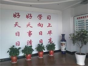 d08adlrb9p4c738729k0.jpg
