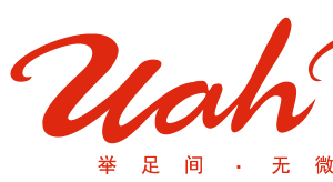 Company icon
