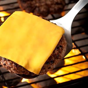 Processed Cheese
