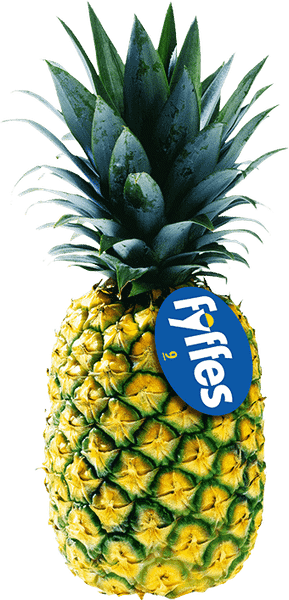 Pineapple