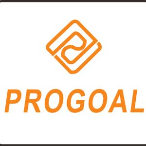 Company icon