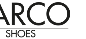 Company icon