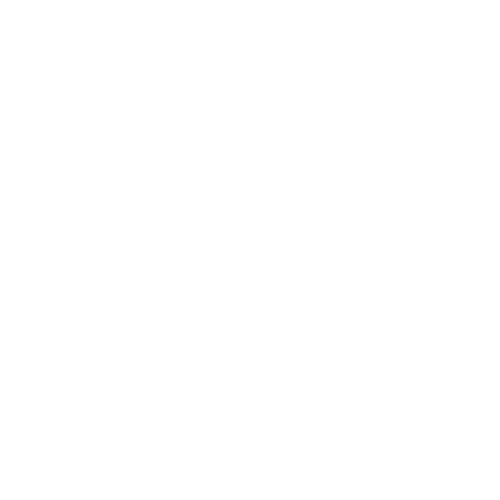 Brain Gear Inc. logo