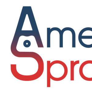 Company icon