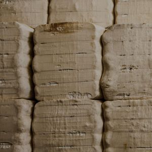 Raw Cotton Bales