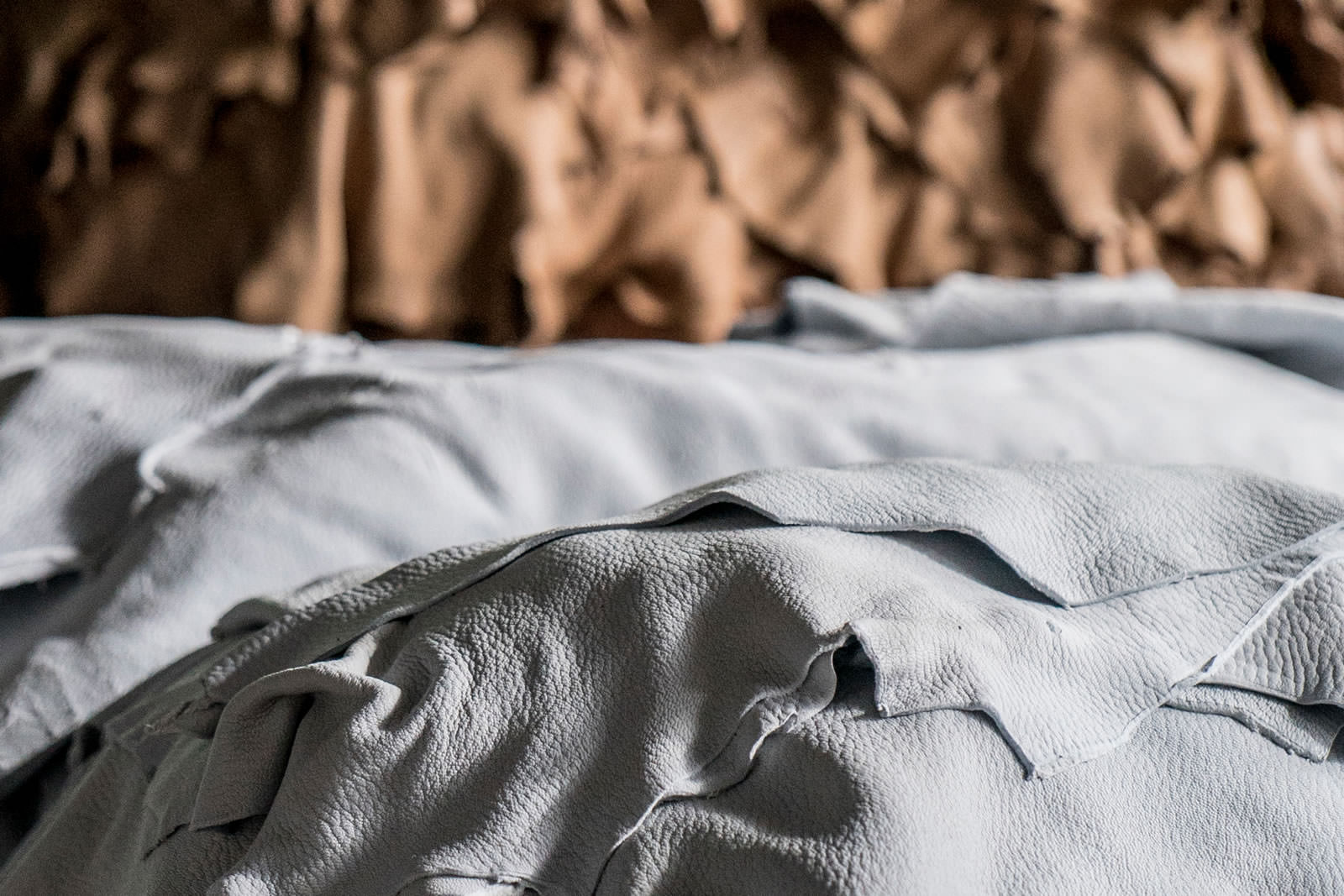 Deviconcia Wet – white project