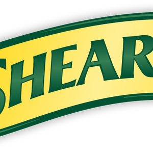 Company icon