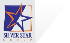 Company icon