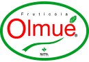 Company icon