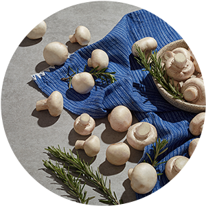 mushroom