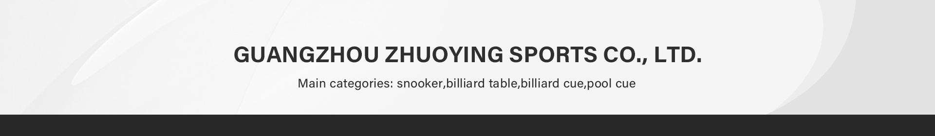 Guangzhou Zhuoying Sports Goods Co., Ltd. logo