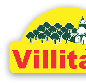 Company icon