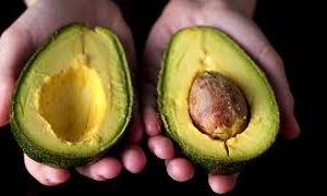 Hass avocados