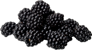 Blackberry