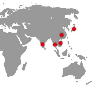 Automobile Equipment