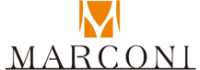 Company icon