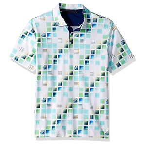 AOP-Polo2