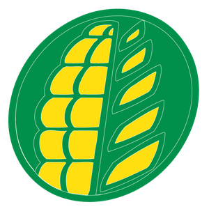 Company icon