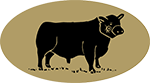 Company icon