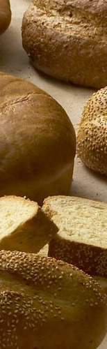 Gonnella Baking Company Frozen Dough