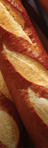 Gonnella Baking Company Sourdough Breads