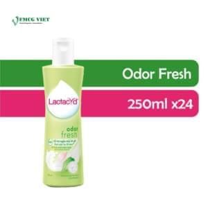 Lactacyd Feminine Care Odor Fresh 250ml x24 (Sanofi) – Mostly Popular