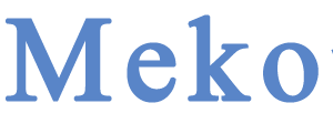 Company icon