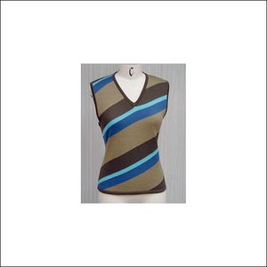 Trendy Diagonally Stripes Top in 7GG