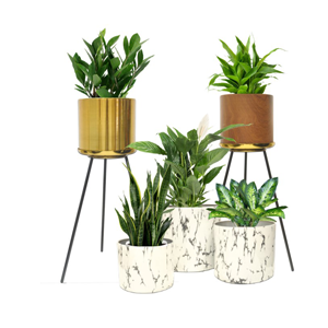 garden decor
