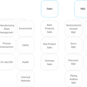 Semiconductor materials, display materials, secondary battery materials, and electronic materials