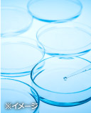 API various pharmaceutical raw materials