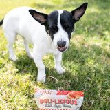 Deli•Licious Roast Beef & Cheddar Dog Treats