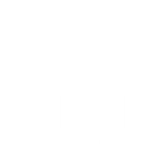 Company icon