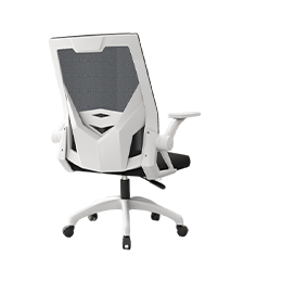Computer Chair