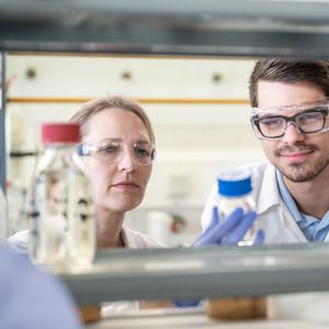 API analytical services