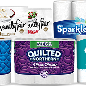 Brawny, Quilted Northern, Angel Soft, Dixie