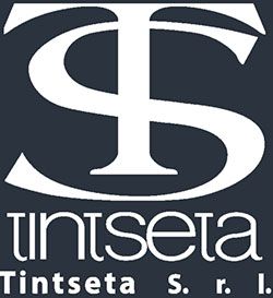 Company icon