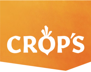Company icon