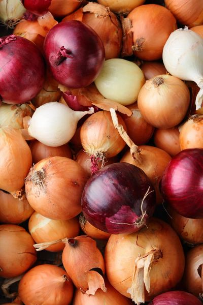 onions