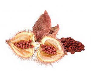 Annatto