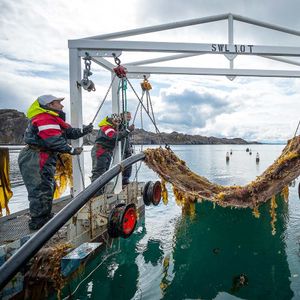 Maritime protective clothing