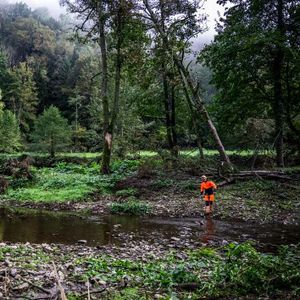 Forestry and arboriculture clothing