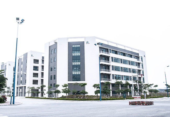 Guangdong Longchuan Intelligent Robot Co., Ltd. Multi Function Packaging Machines