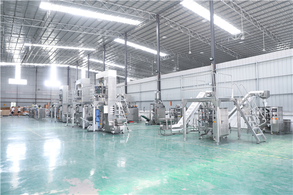 Guangdong Longchuan Intelligent Robot Co., Ltd. Industrial Robots