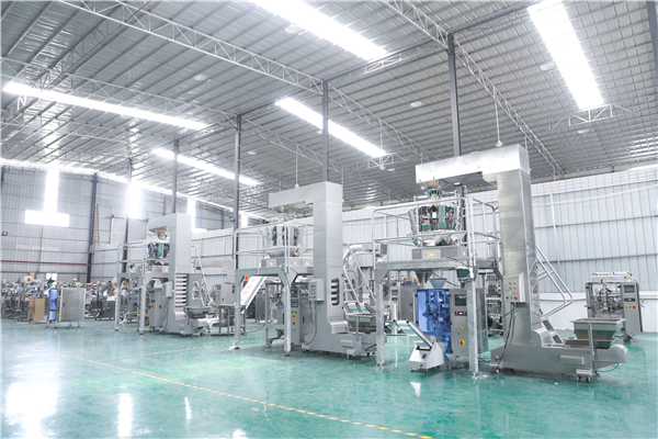 Guangdong Longchuan Intelligent Robot Co., Ltd. Vertical Packaging Machines