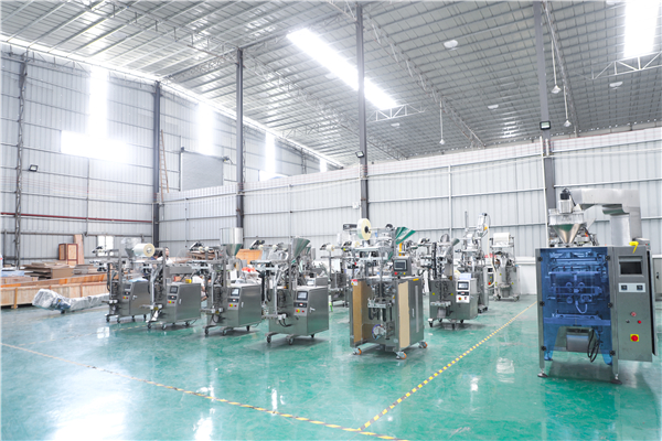 Guangdong Longchuan Intelligent Robot Co., Ltd. Multi Head Weighers